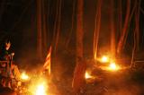 Macbeth en foret 32 * 5184 x 3456 * (9.39MB)